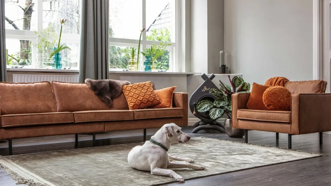 Homifab Fauteuil>Rodeo